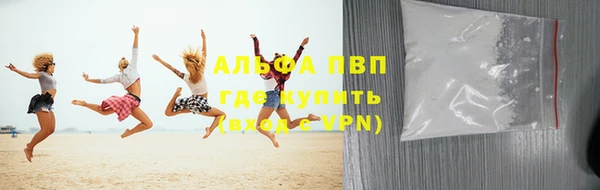 СК Алзамай
