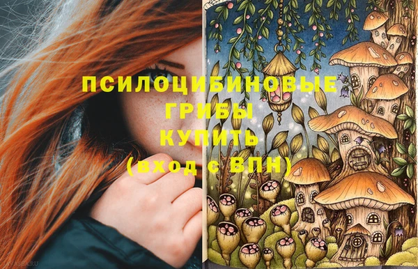 МДМА Алексеевка